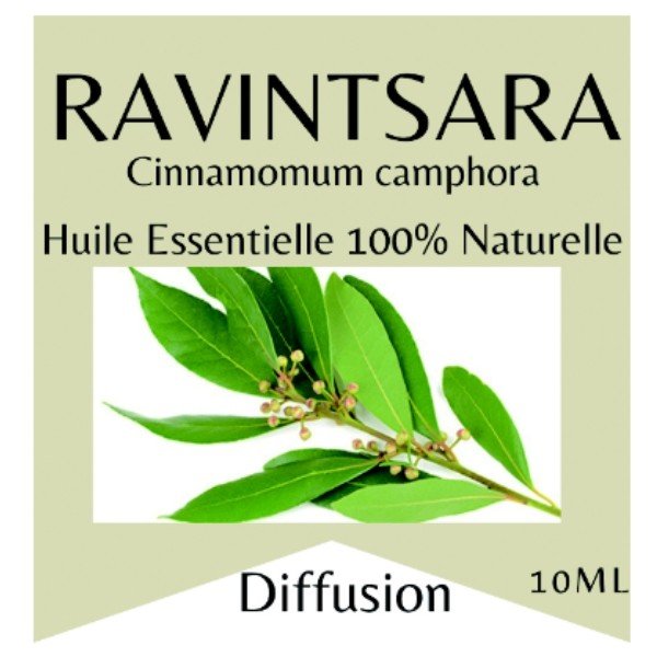 Ravesara Æterisk Olie - Luxware DK