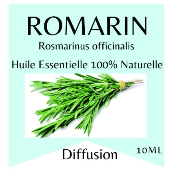Rosmarin Æterisk Olie - Luxware DK